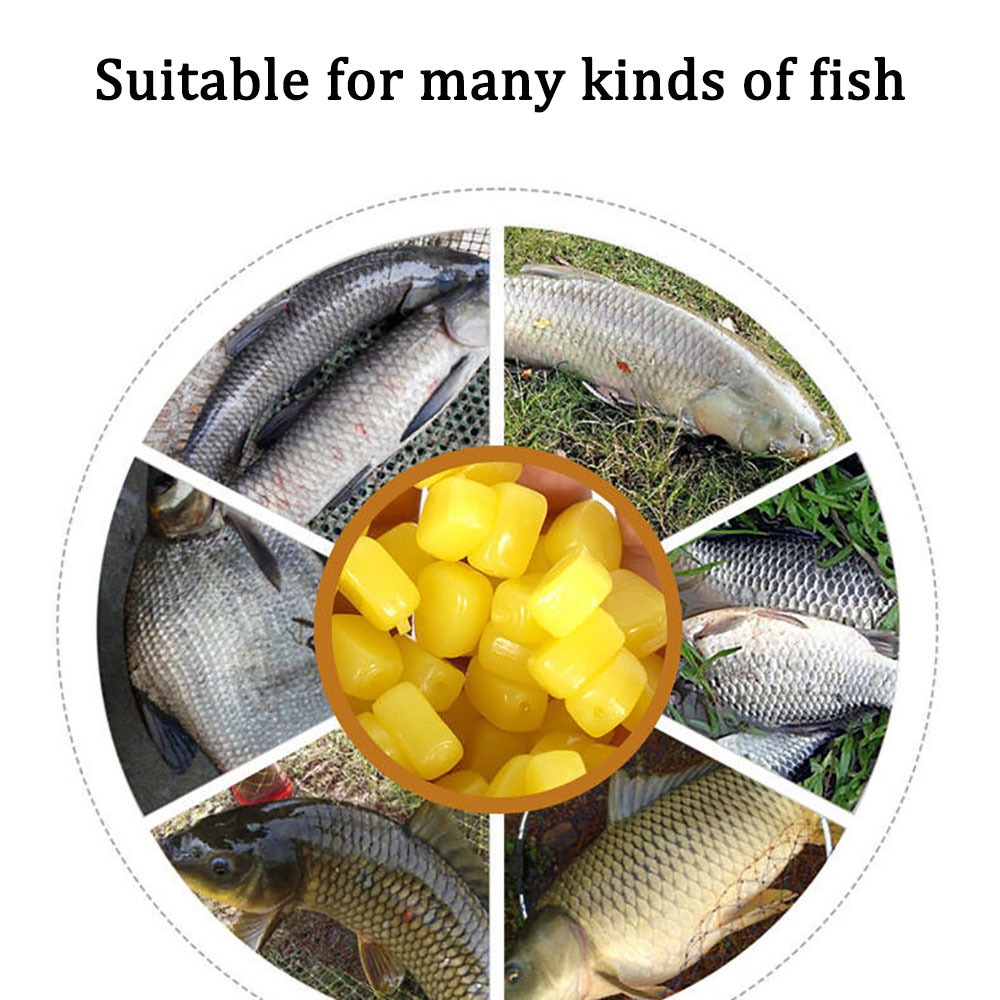 100 Buah Umpan Lembut Bau Jagu - Fishing Lure Topwater ulasan dan harga